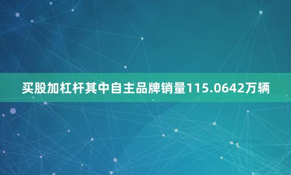 买股加杠杆其中自主品牌销量115.0642万辆