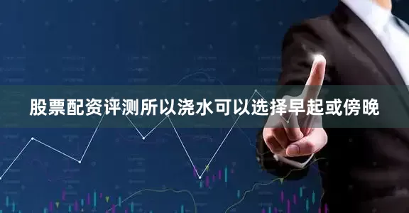 股票配资评测所以浇水可以选择早起或傍晚