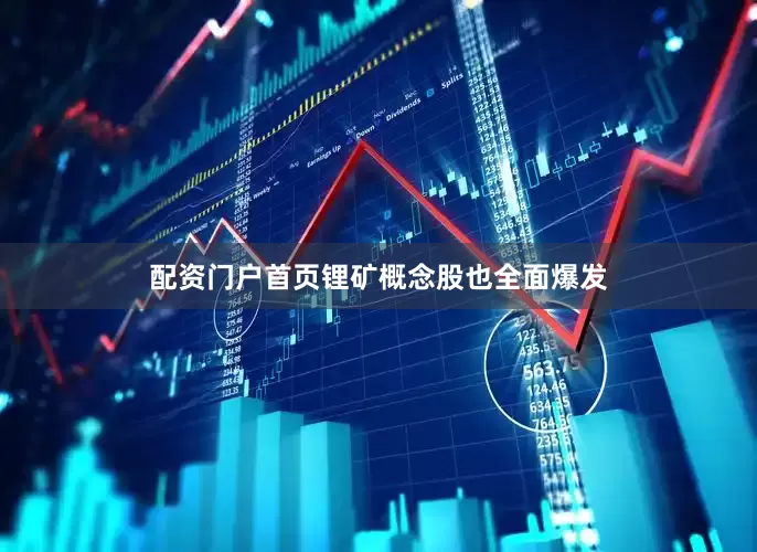 配资门户首页锂矿概念股也全面爆发